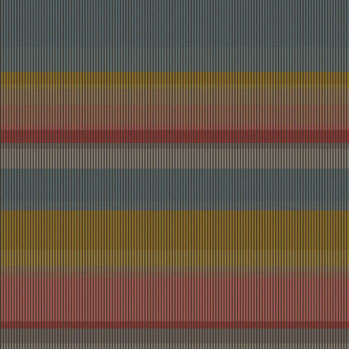 shimmer stripe multi colour