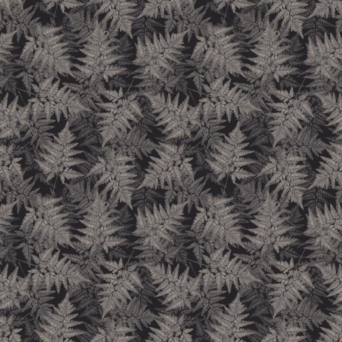 jungle floor  grey