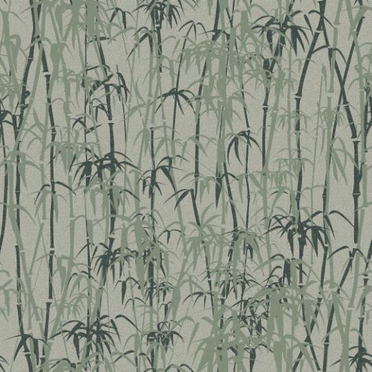 bamboo forest  green