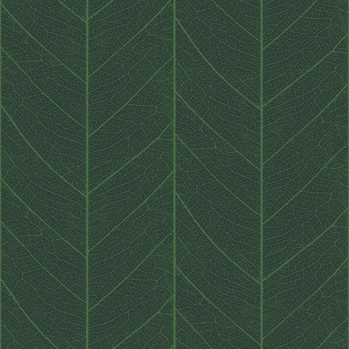 leaf skeleton  green