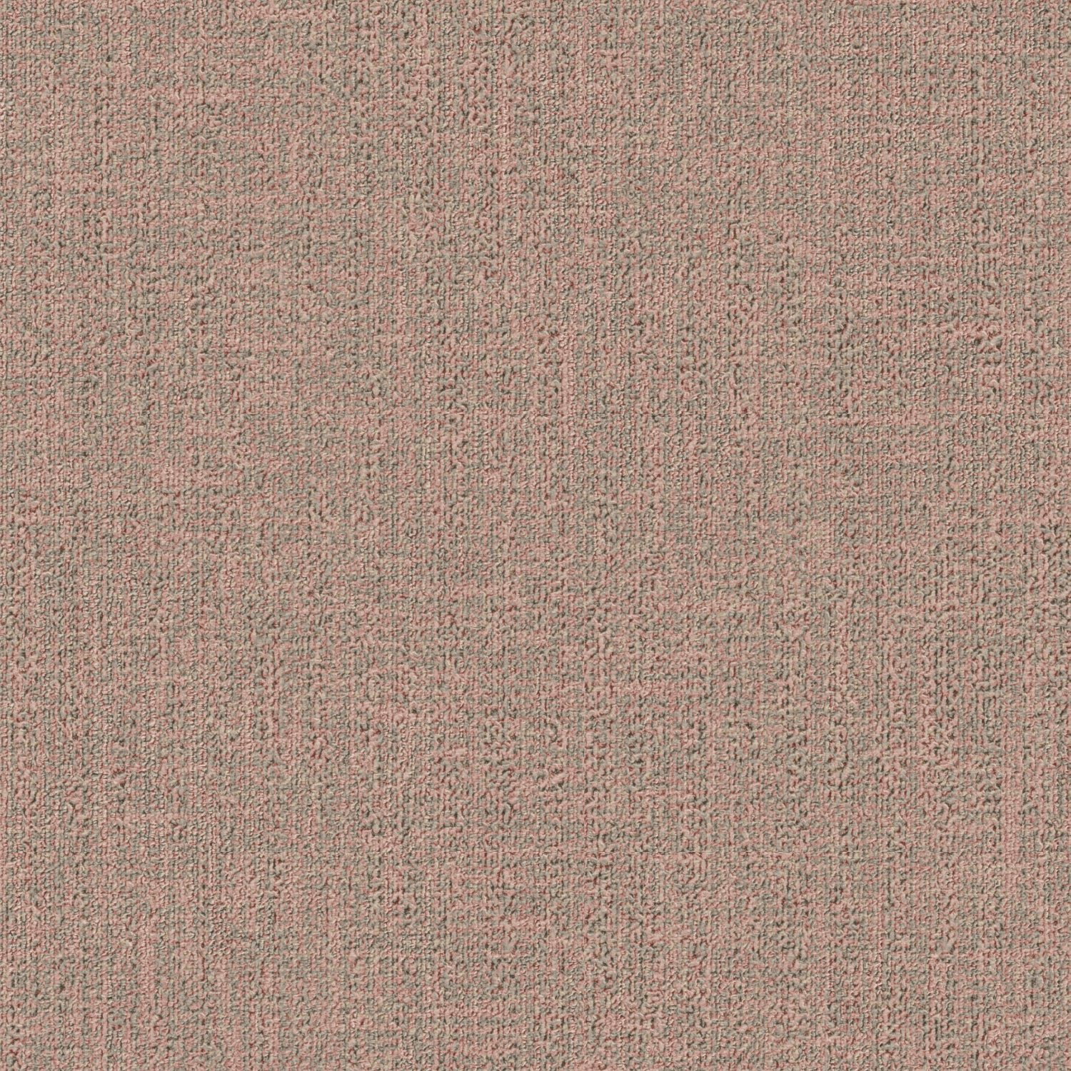 ReForm Spectrum rose