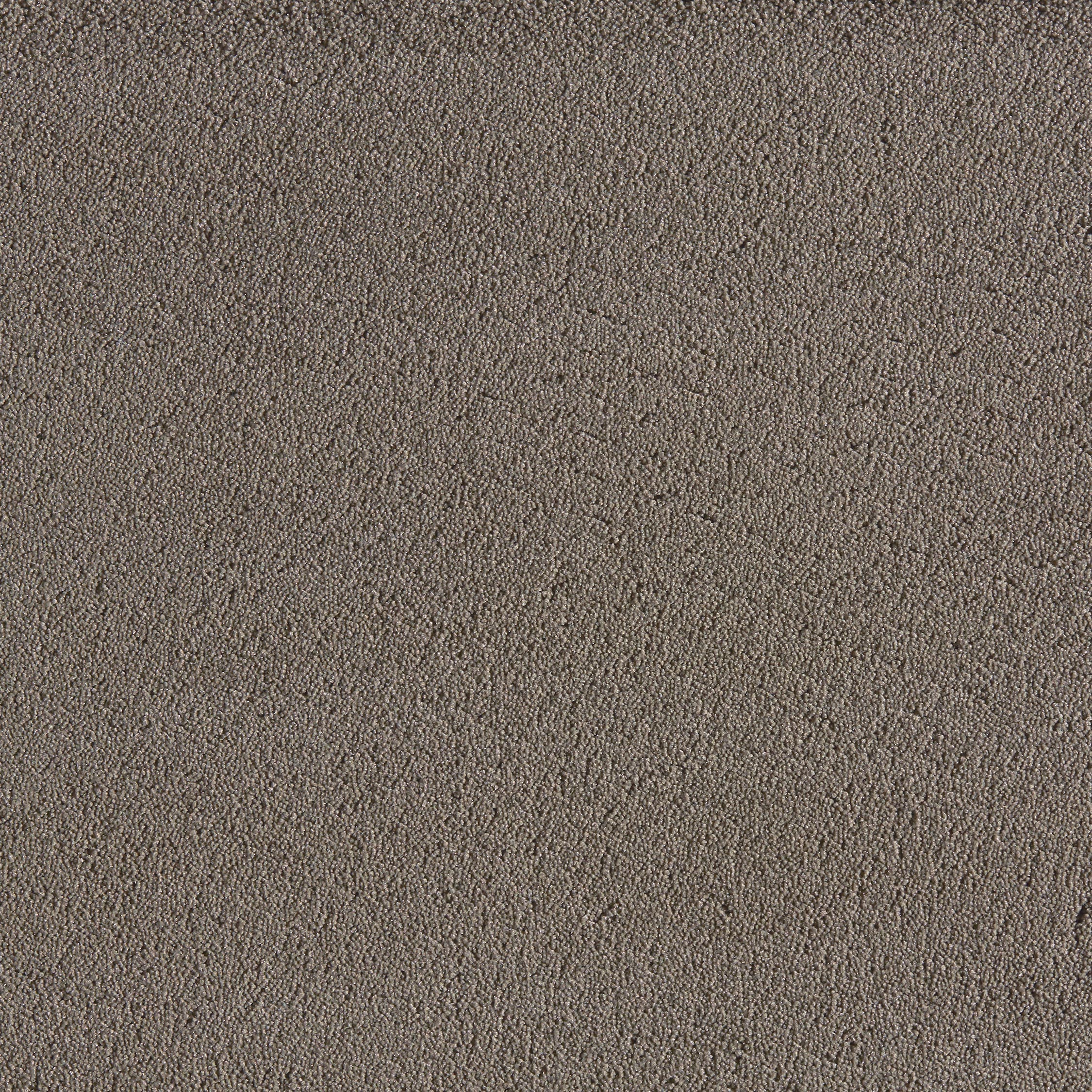 Texture taupe