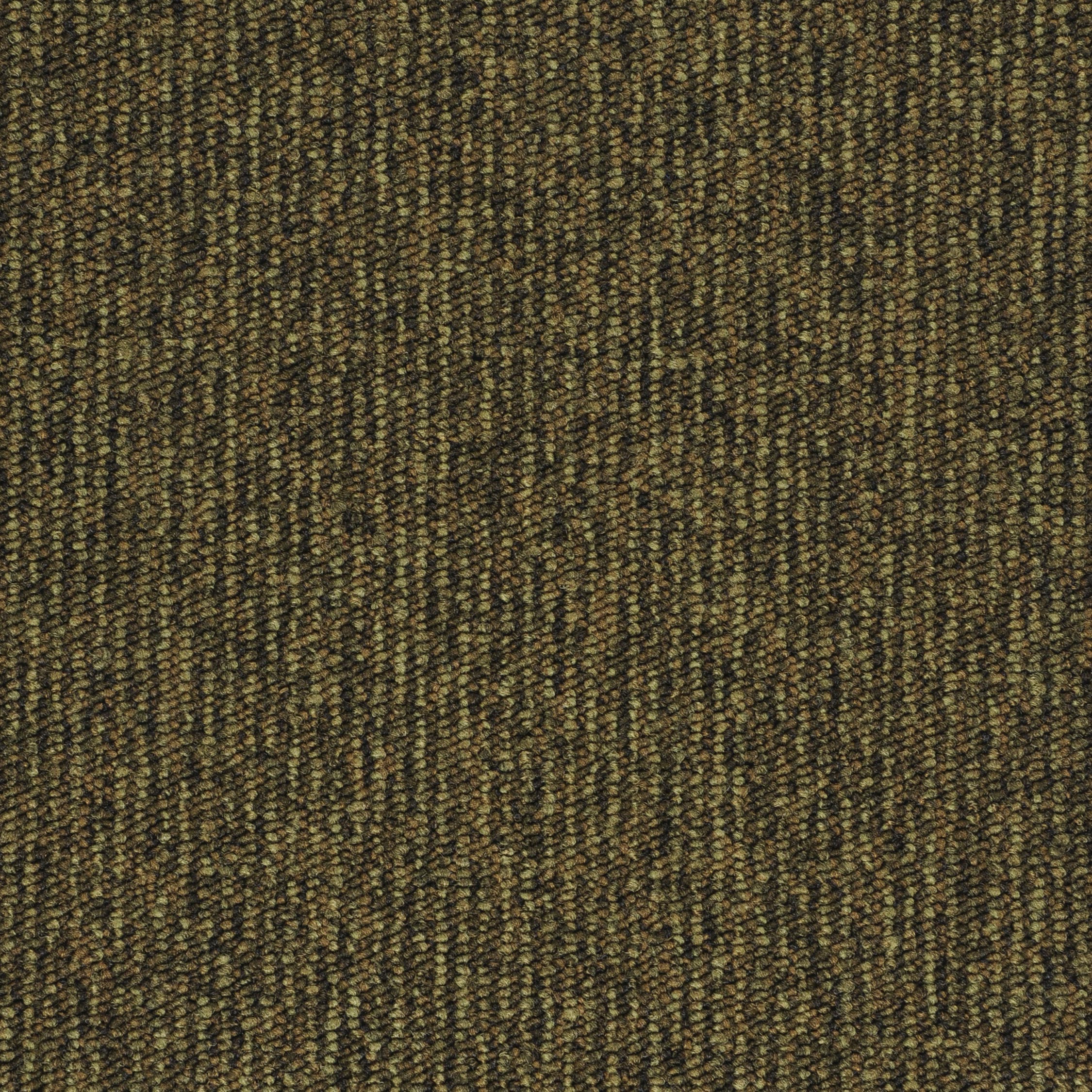 Contra Stripe army green