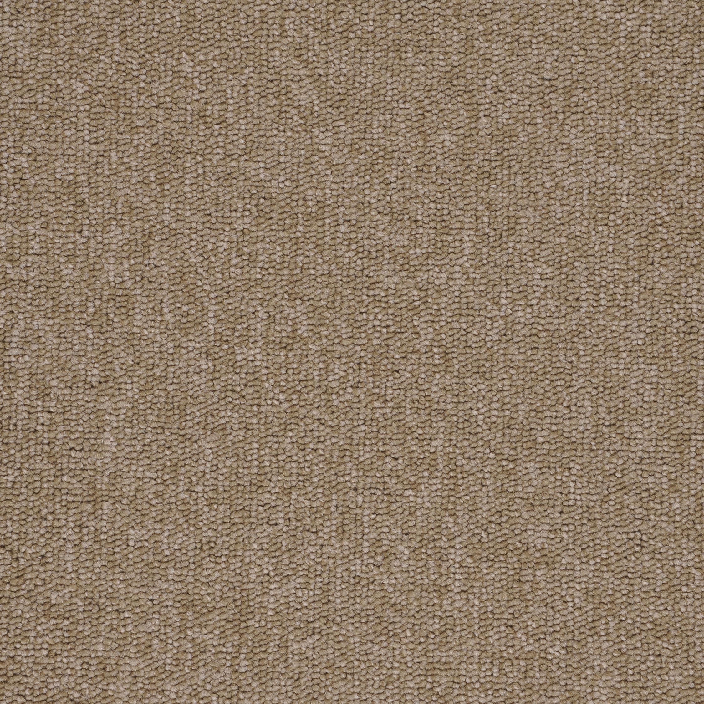 Contra beige