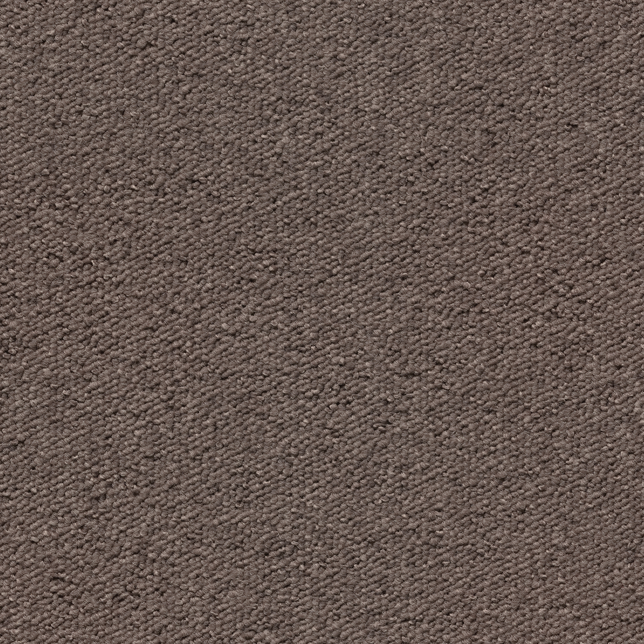 Una Tempo light brown