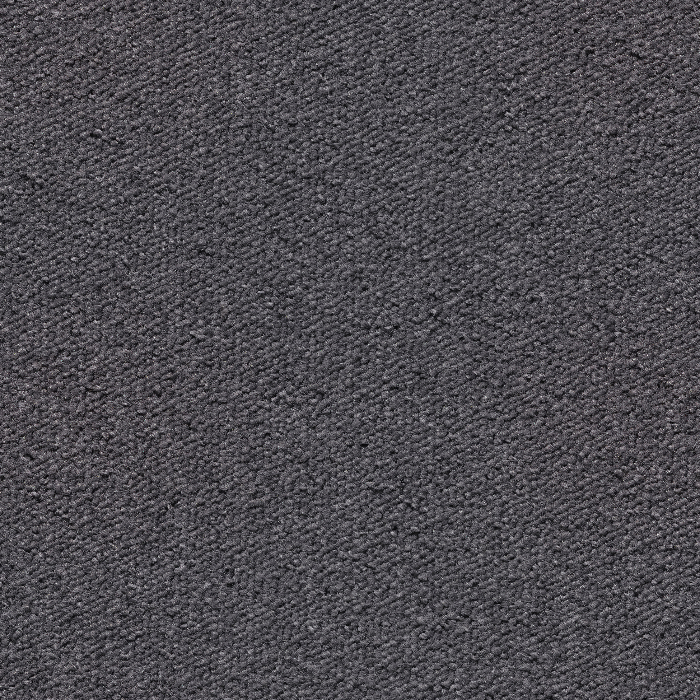 Una Tempo pure grey