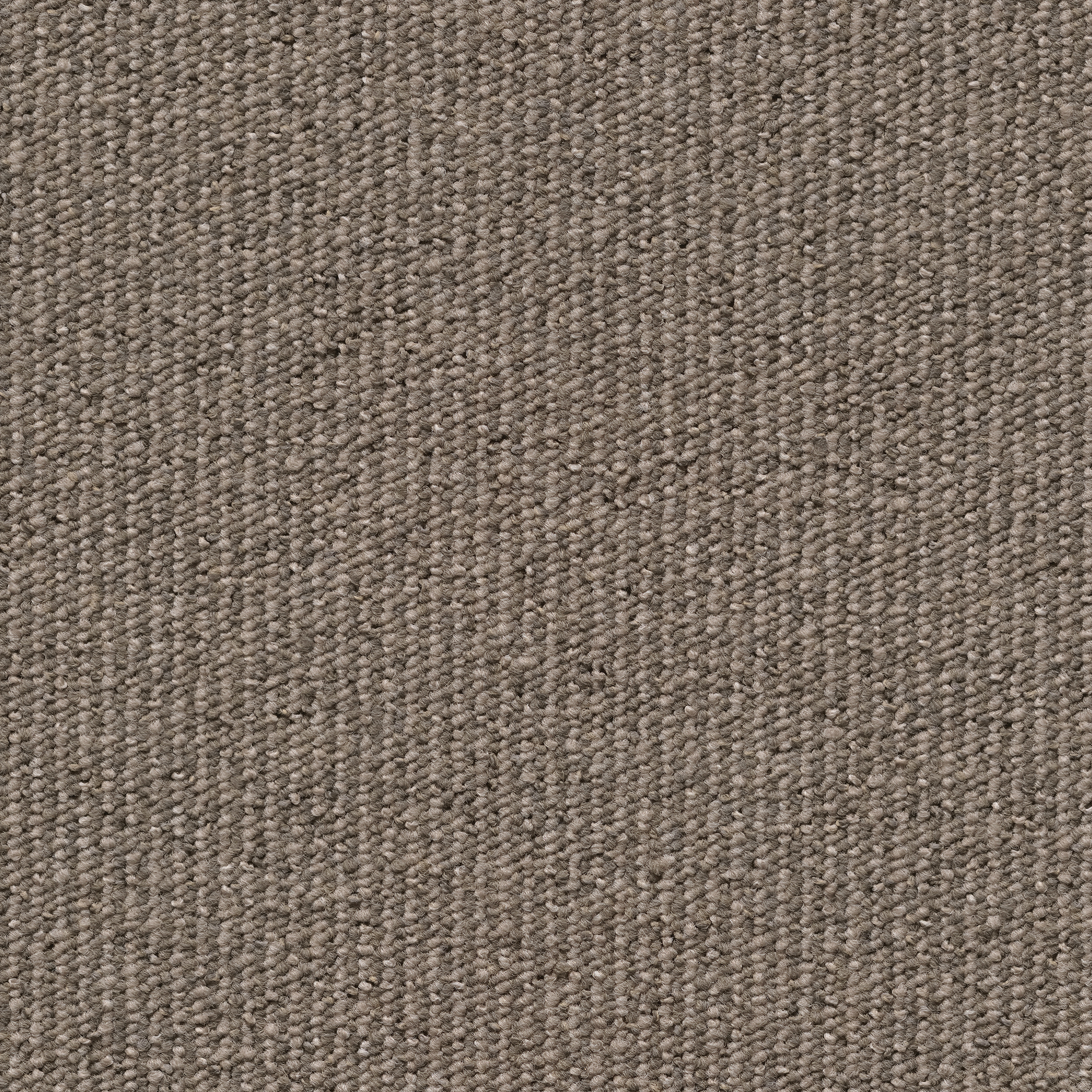 Una Tempo Stripe dark beige