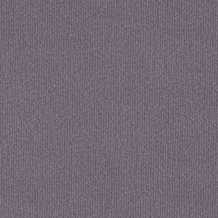 Grace shady purple