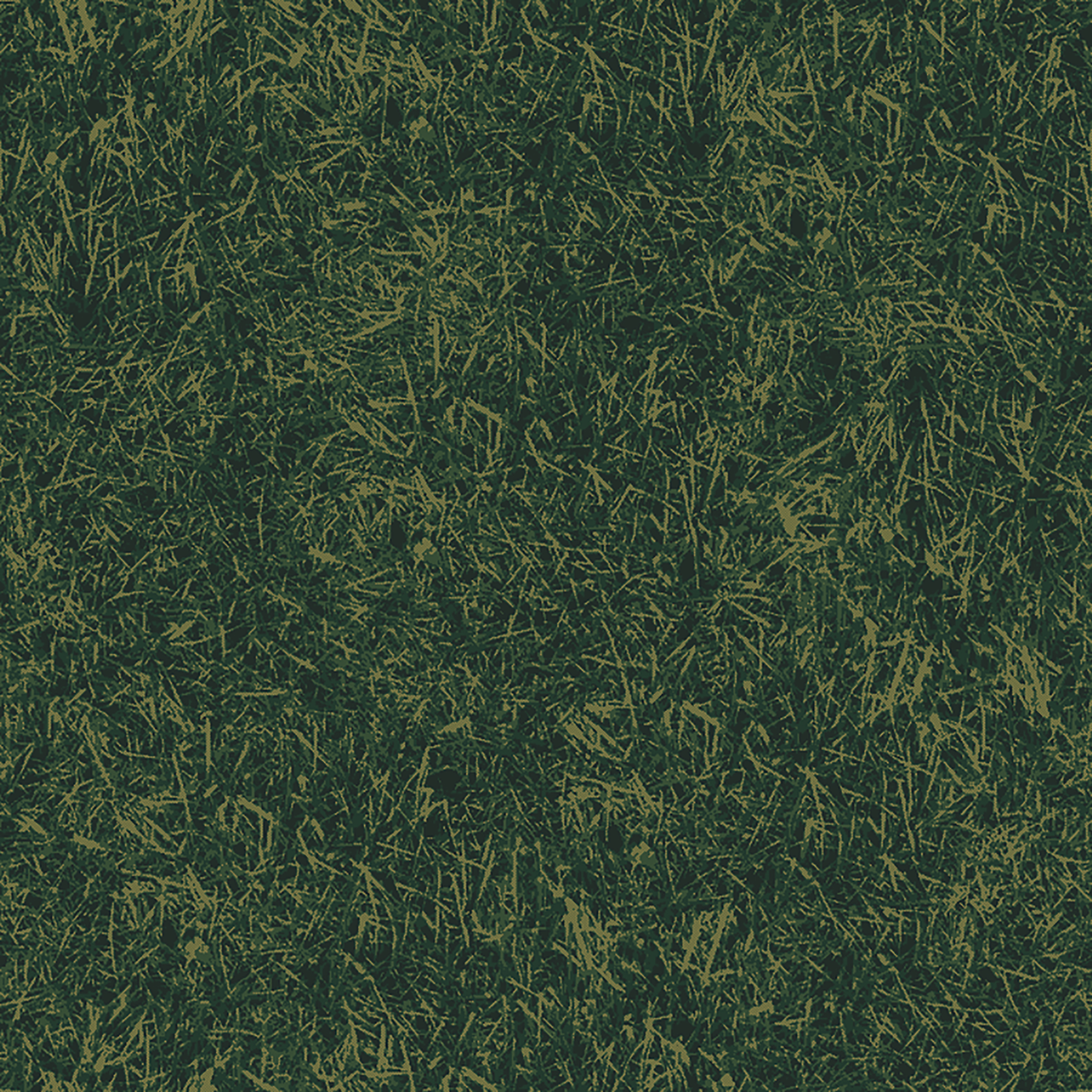 grass field  green