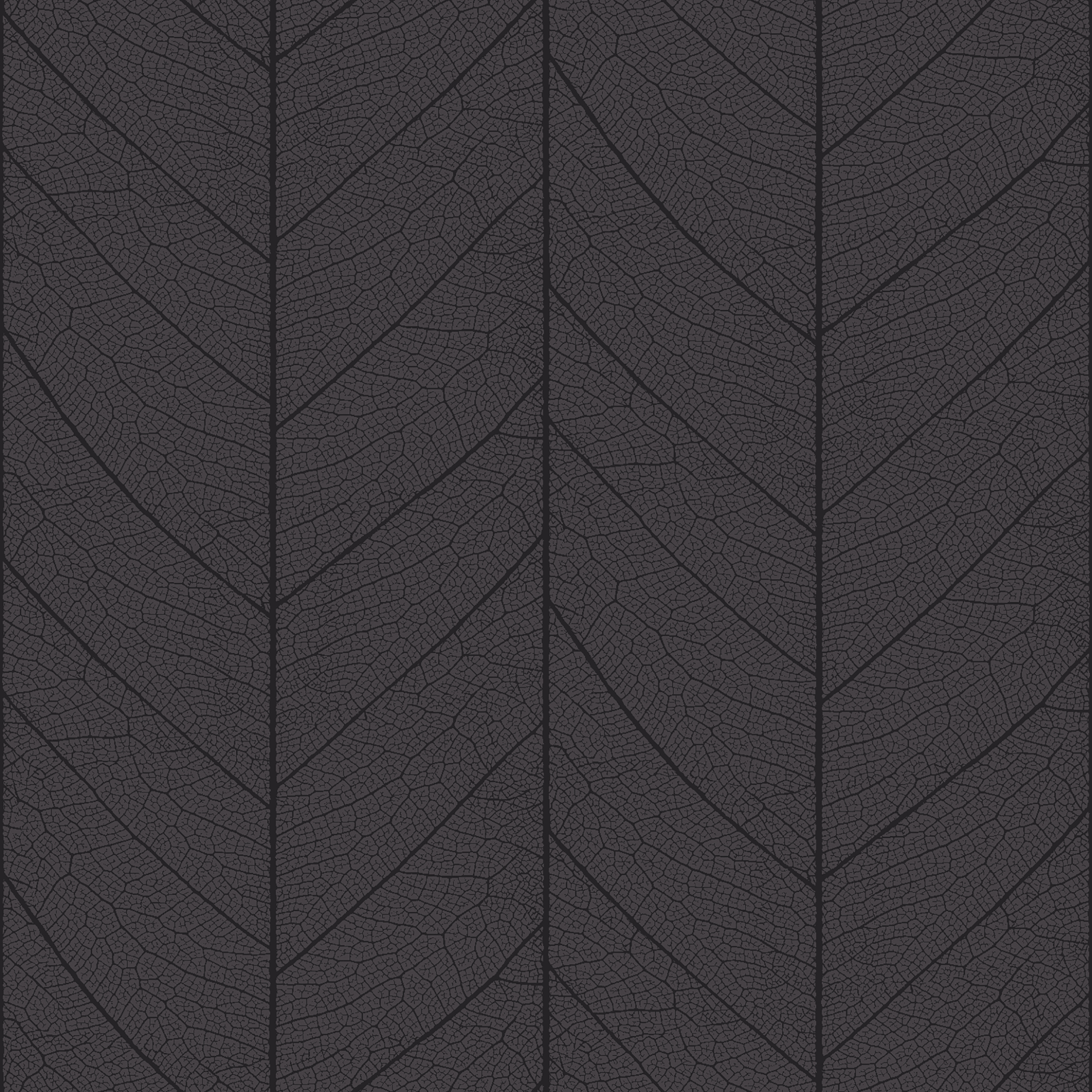 leaf skeleton  grey
