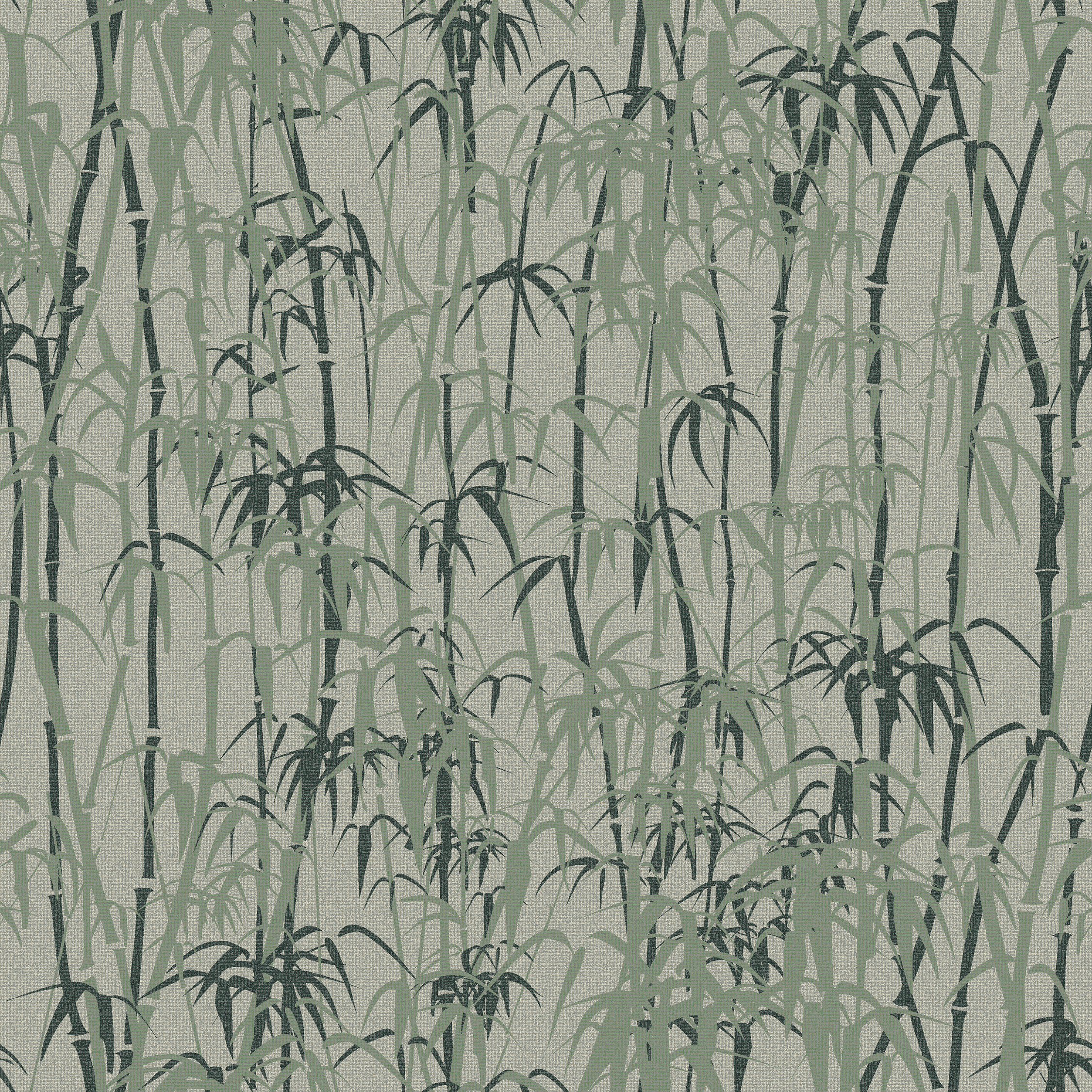 bamboo forest  green