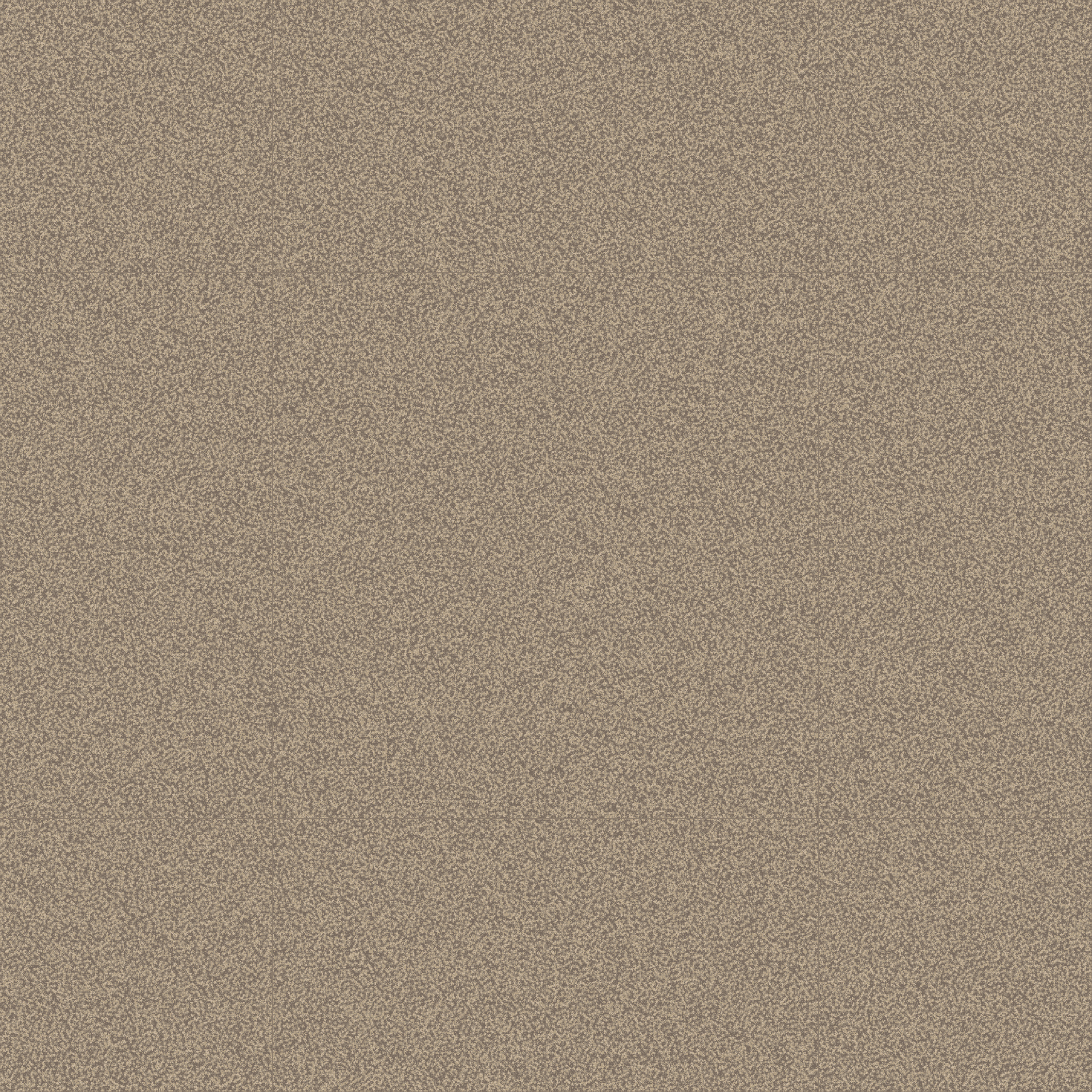 grainy texture  beige